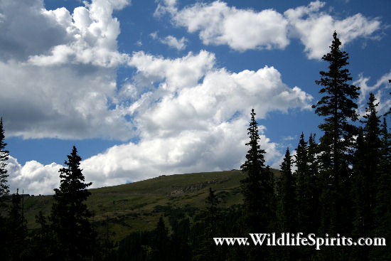 Click Picture to send as an  E-PostCard 65k 550x367